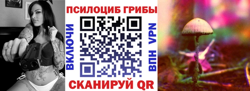 Псилоцибиновые грибы ЛСД купить сайты omg онион Кирово-Чепецк