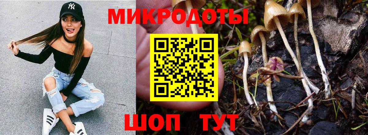 Псилоцибиновые грибы Psilocybine cubensis  Галлюциногенные грибы GOLDEN TEACHER  Кирово-Чепецк  Вход с VPN 